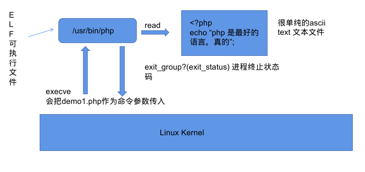 PHP 解释器工作流程